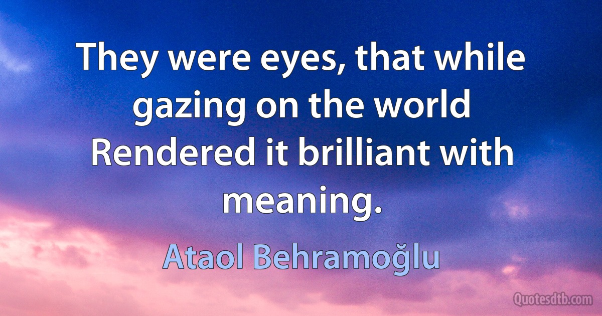 They were eyes, that while gazing on the world
Rendered it brilliant with meaning. (Ataol Behramoğlu)