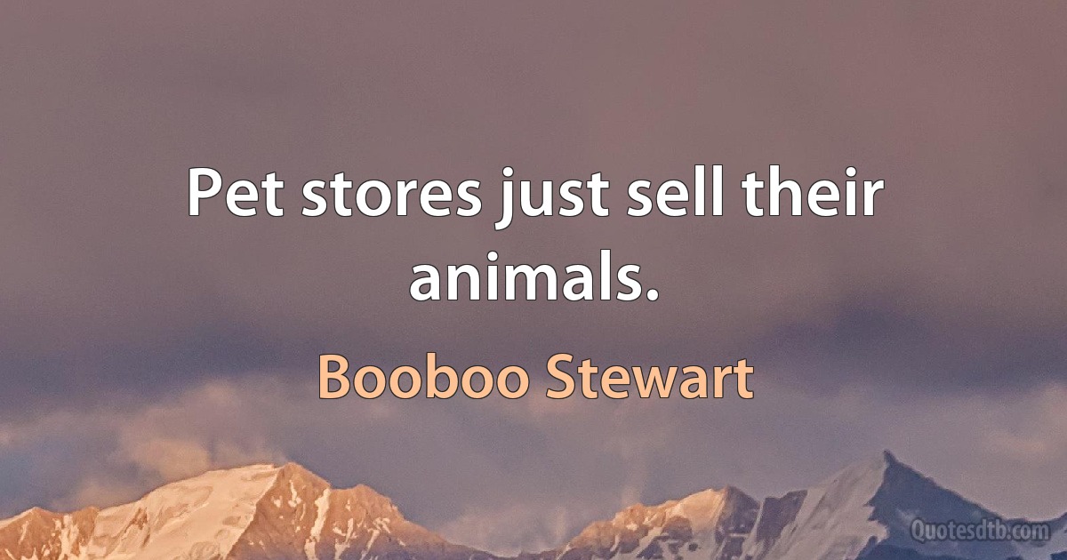 Pet stores just sell their animals. (Booboo Stewart)