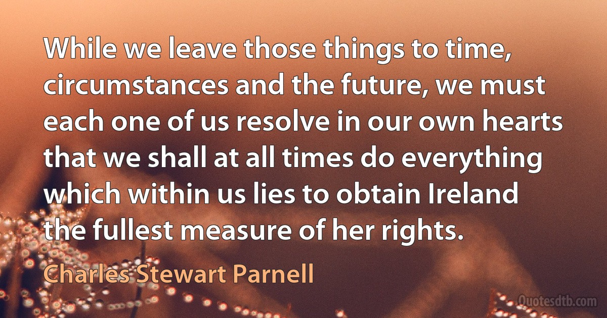 While we leave those things to time, circumstances and the future, we must each one of us resolve in our own hearts that we shall at all times do everything which within us lies to obtain Ireland the fullest measure of her rights. (Charles Stewart Parnell)