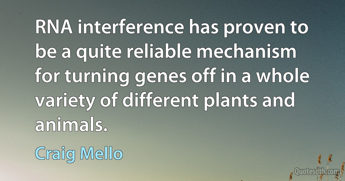 RNA interference has proven to be a quite reliable mechanism for turning genes off in a whole variety of different plants and animals. (Craig Mello)