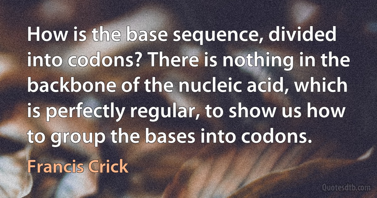 How is the base sequence, divided into codons? There is nothing in the backbone of the nucleic acid, which is perfectly regular, to show us how to group the bases into codons. (Francis Crick)