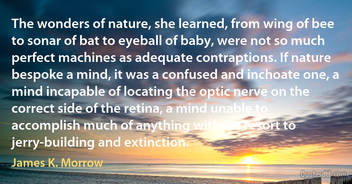 The wonders of nature, she learned, from wing of bee to sonar of bat to eyeball of baby, were not so much perfect machines as adequate contraptions. If nature bespoke a mind, it was a confused and inchoate one, a mind incapable of locating the optic nerve on the correct side of the retina, a mind unable to accomplish much of anything without resort to jerry-building and extinction. (James K. Morrow)