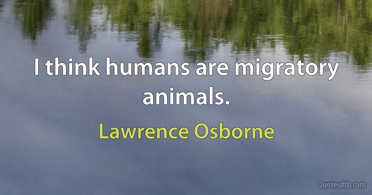 I think humans are migratory animals. (Lawrence Osborne)