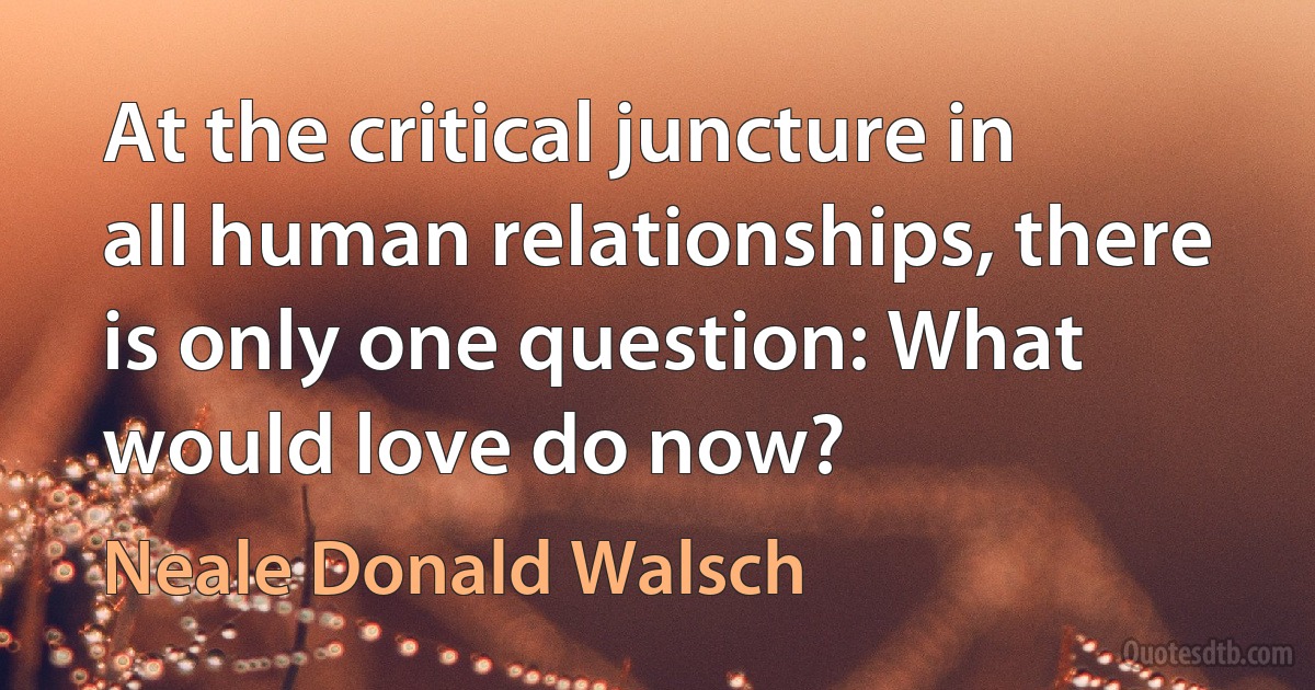 At the critical juncture in all human relationships, there is only one question: What would love do now? (Neale Donald Walsch)