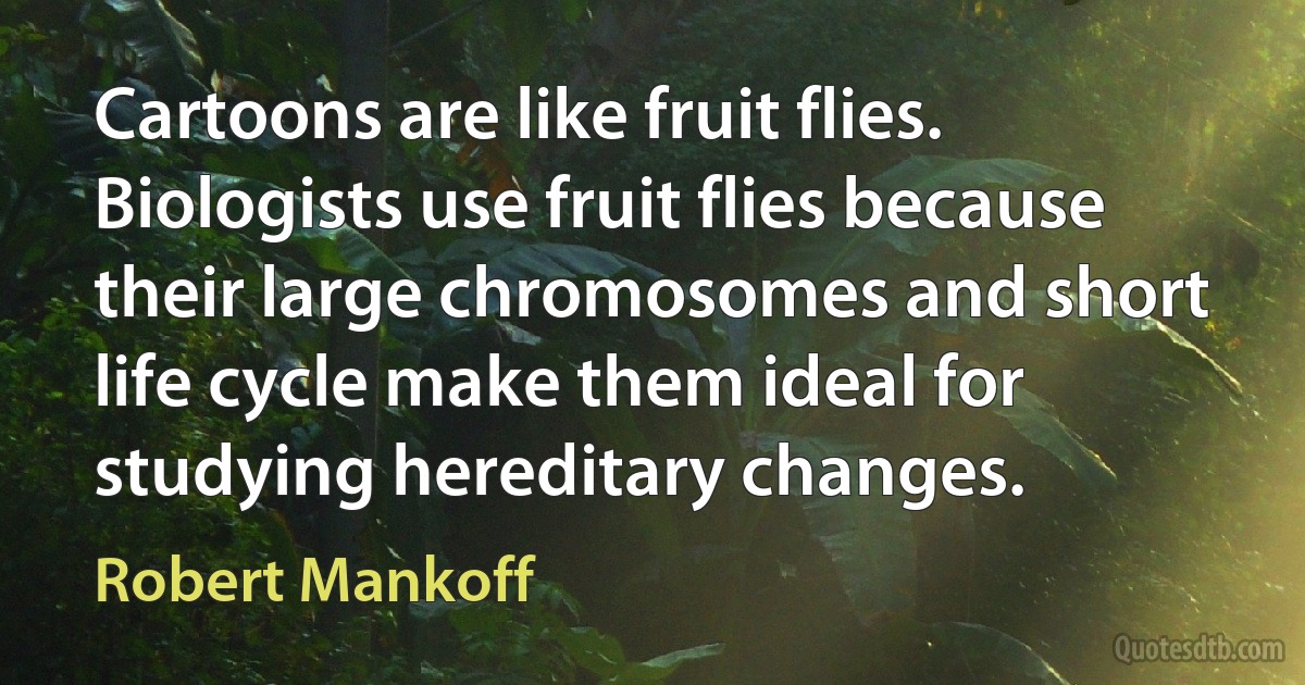 Cartoons are like fruit flies. Biologists use fruit flies because their large chromosomes and short life cycle make them ideal for studying hereditary changes. (Robert Mankoff)