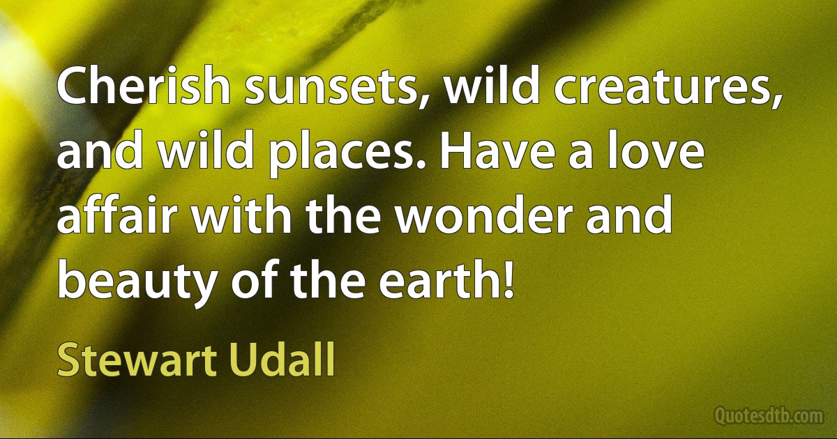 Cherish sunsets, wild creatures, and wild places. Have a love affair with the wonder and beauty of the earth! (Stewart Udall)