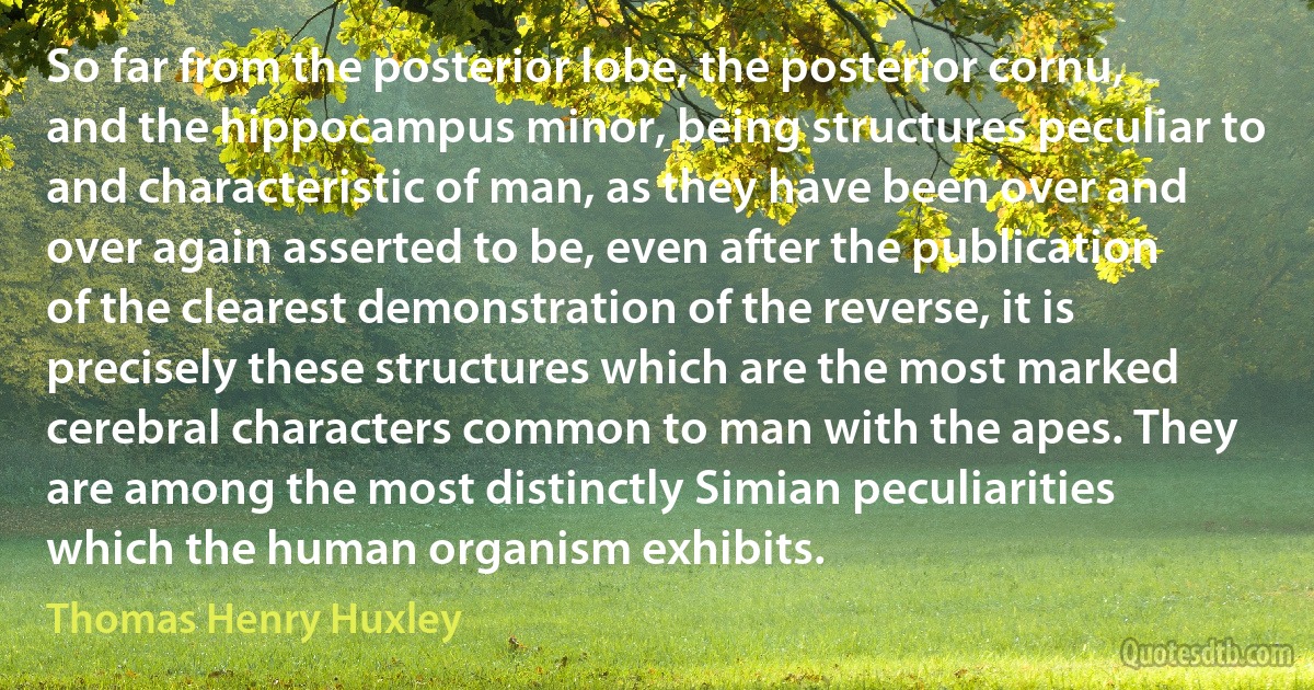 So far from the posterior lobe, the posterior cornu, and the hippocampus minor, being structures peculiar to and characteristic of man, as they have been over and over again asserted to be, even after the publication of the clearest demonstration of the reverse, it is precisely these structures which are the most marked cerebral characters common to man with the apes. They are among the most distinctly Simian peculiarities which the human organism exhibits. (Thomas Henry Huxley)