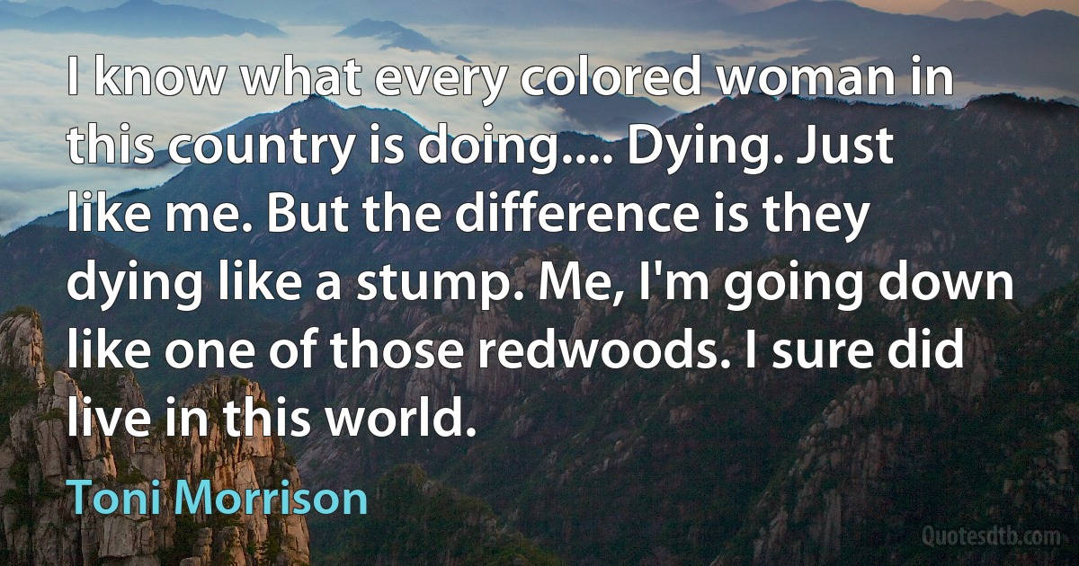 I know what every colored woman in this country is doing.... Dying. Just like me. But the difference is they dying like a stump. Me, I'm going down like one of those redwoods. I sure did live in this world. (Toni Morrison)