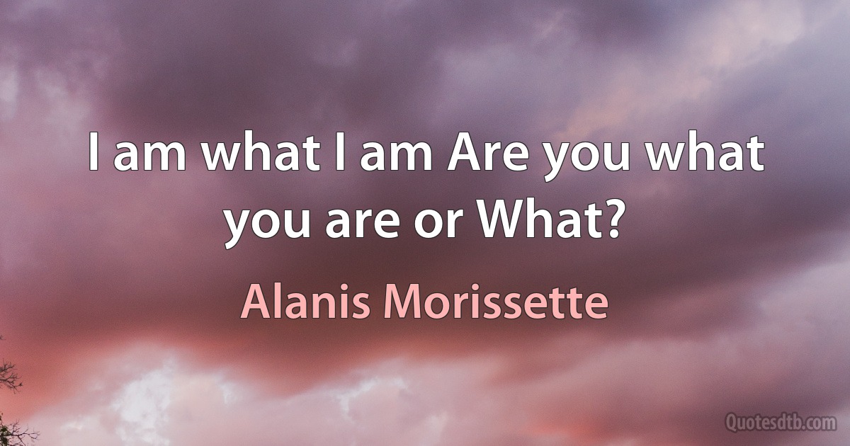 I am what I am Are you what you are or What? (Alanis Morissette)