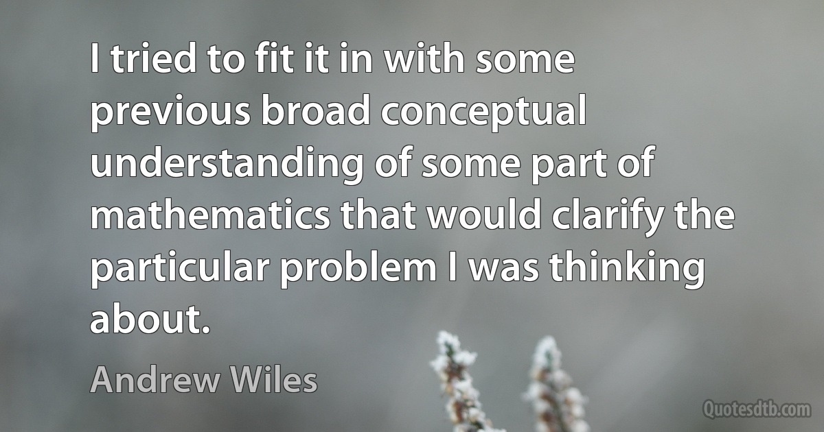 I tried to fit it in with some previous broad conceptual understanding of some part of mathematics that would clarify the particular problem I was thinking about. (Andrew Wiles)