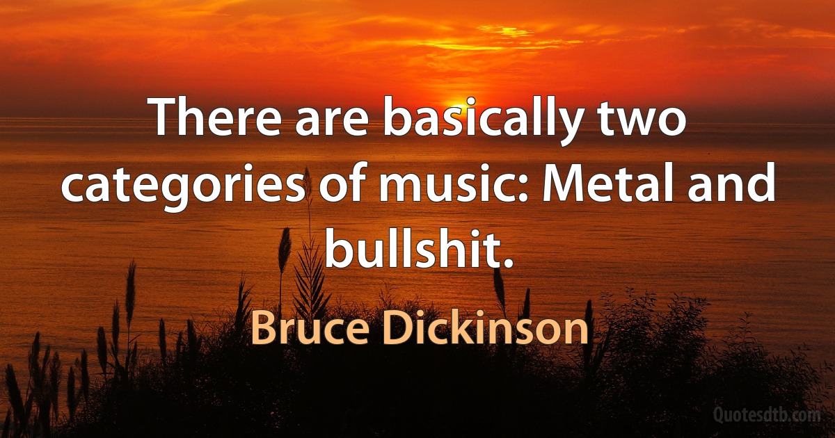 There are basically two categories of music: Metal and bullshit. (Bruce Dickinson)