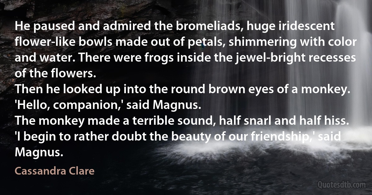 He paused and admired the bromeliads, huge iridescent flower-like bowls made out of petals, shimmering with color and water. There were frogs inside the jewel-bright recesses of the flowers.
Then he looked up into the round brown eyes of a monkey.
'Hello, companion,' said Magnus.
The monkey made a terrible sound, half snarl and half hiss.
'I begin to rather doubt the beauty of our friendship,' said Magnus. (Cassandra Clare)