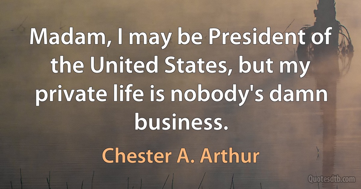 Madam, I may be President of the United States, but my private life is nobody's damn business. (Chester A. Arthur)