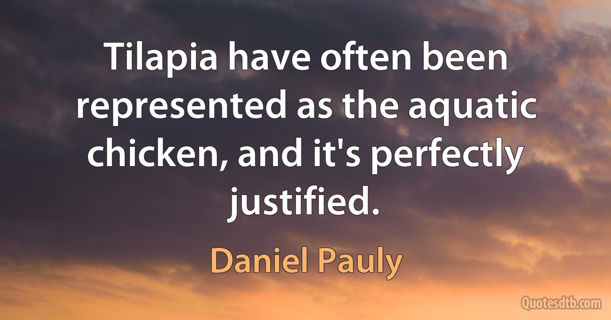 Tilapia have often been represented as the aquatic chicken, and it's perfectly justified. (Daniel Pauly)