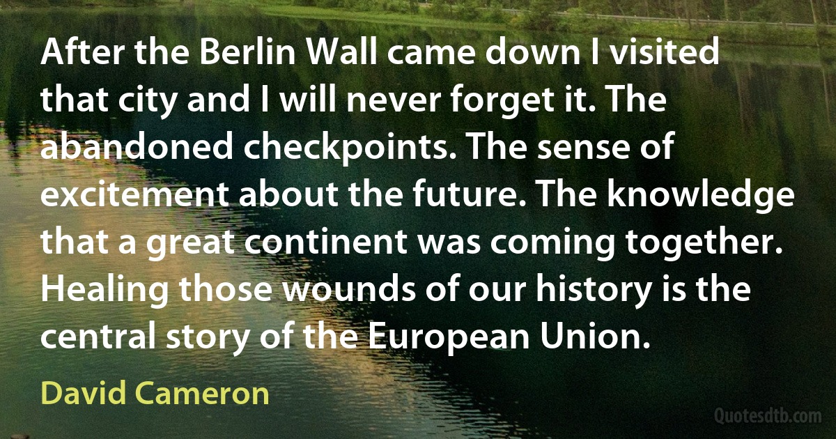 After the Berlin Wall came down I visited that city and I will never forget it. The abandoned checkpoints. The sense of excitement about the future. The knowledge that a great continent was coming together. Healing those wounds of our history is the central story of the European Union. (David Cameron)