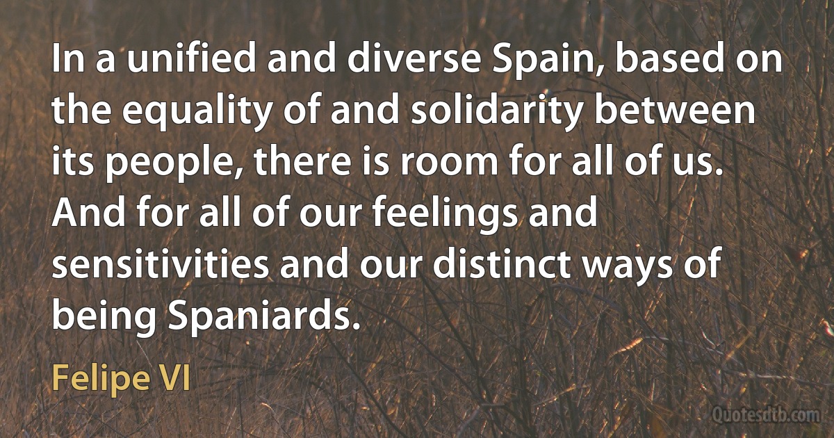 In a unified and diverse Spain, based on the equality of and solidarity between its people, there is room for all of us. And for all of our feelings and sensitivities and our distinct ways of being Spaniards. (Felipe VI)