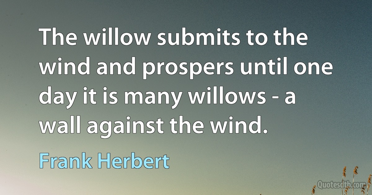 The willow submits to the wind and prospers until one day it is many willows - a wall against the wind. (Frank Herbert)