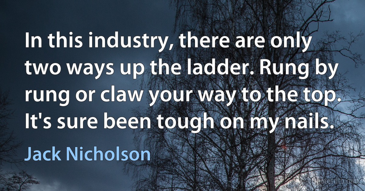 In this industry, there are only two ways up the ladder. Rung by rung or claw your way to the top. It's sure been tough on my nails. (Jack Nicholson)