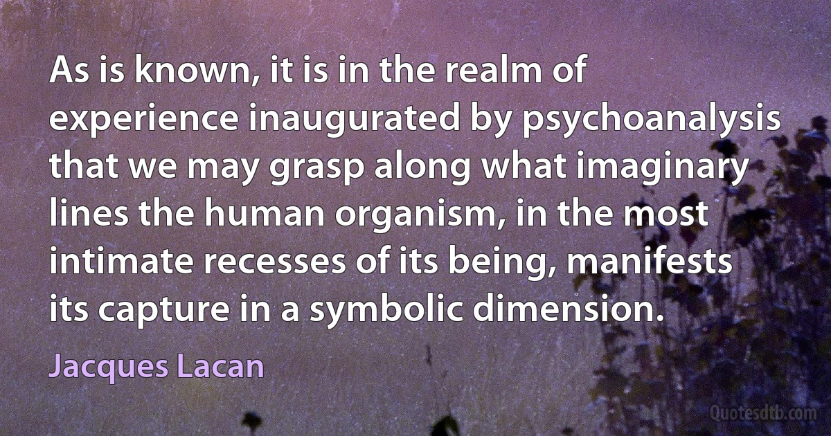 As is known, it is in the realm of experience inaugurated by psychoanalysis that we may grasp along what imaginary lines the human organism, in the most intimate recesses of its being, manifests its capture in a symbolic dimension. (Jacques Lacan)