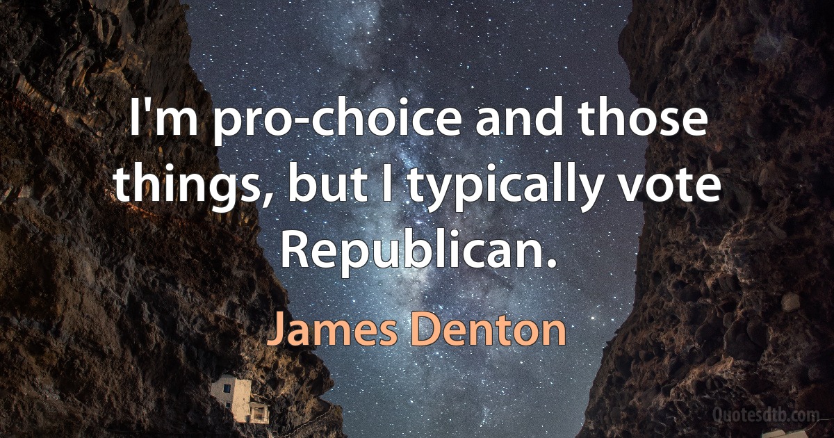 I'm pro-choice and those things, but I typically vote Republican. (James Denton)