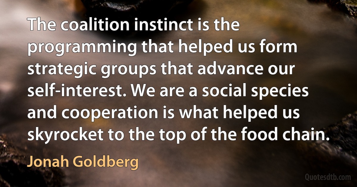 The coalition instinct is the programming that helped us form strategic groups that advance our self-interest. We are a social species and cooperation is what helped us skyrocket to the top of the food chain. (Jonah Goldberg)