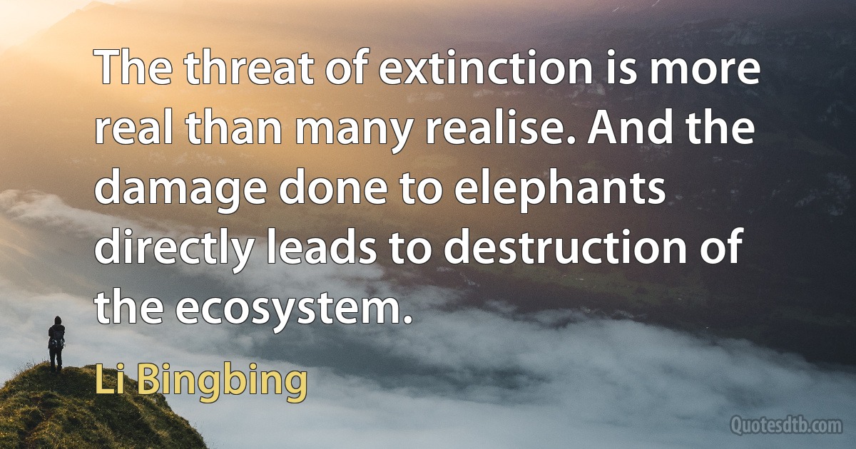 The threat of extinction is more real than many realise. And the damage done to elephants directly leads to destruction of the ecosystem. (Li Bingbing)