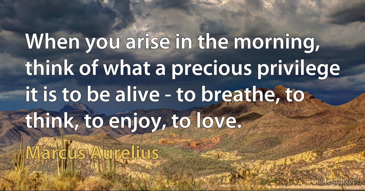 When you arise in the morning, think of what a precious privilege it is to be alive - to breathe, to think, to enjoy, to love. (Marcus Aurelius)