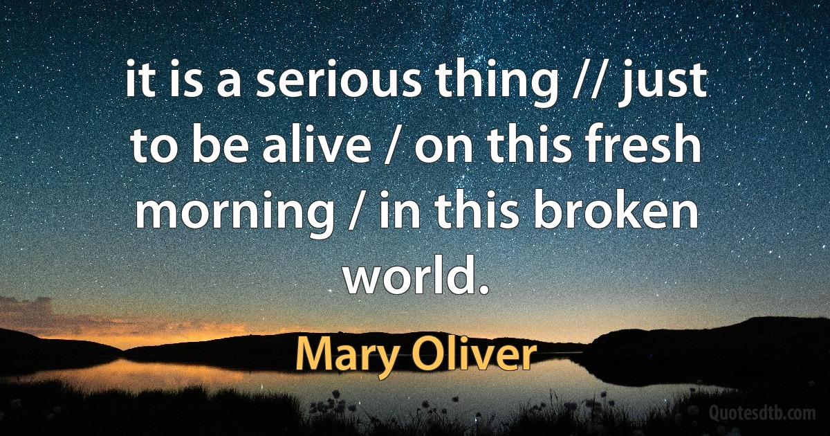 it is a serious thing // just to be alive / on this fresh morning / in this broken world. (Mary Oliver)