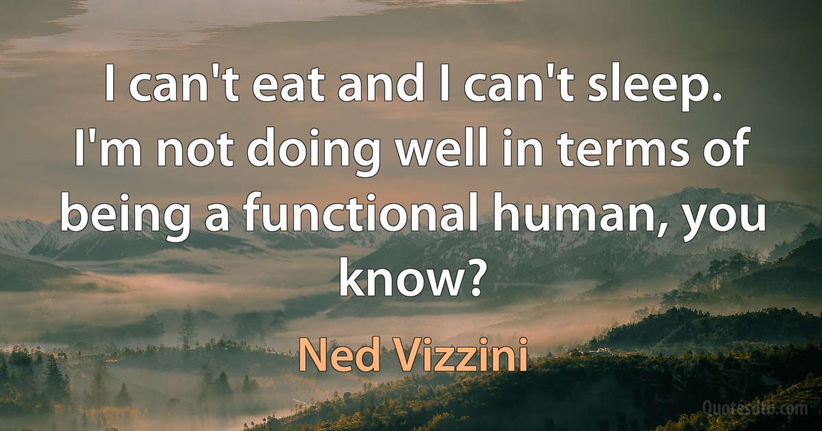 I can't eat and I can't sleep. I'm not doing well in terms of being a functional human, you know? (Ned Vizzini)