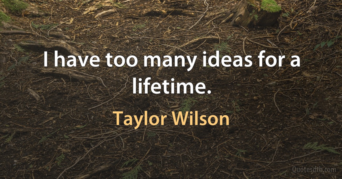 I have too many ideas for a lifetime. (Taylor Wilson)