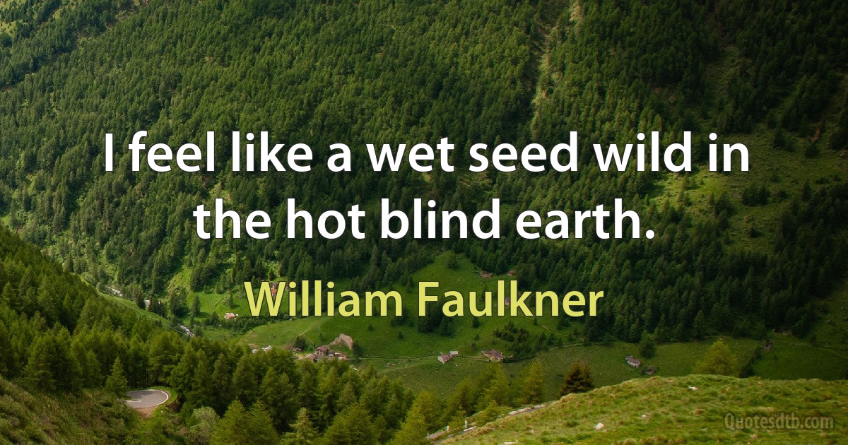 I feel like a wet seed wild in the hot blind earth. (William Faulkner)