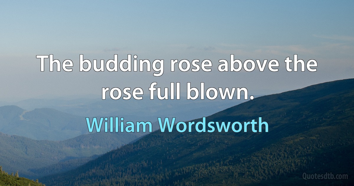 The budding rose above the rose full blown. (William Wordsworth)