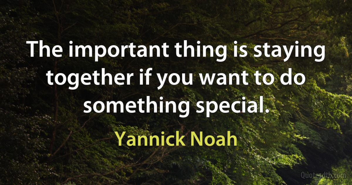 The important thing is staying together if you want to do something special. (Yannick Noah)