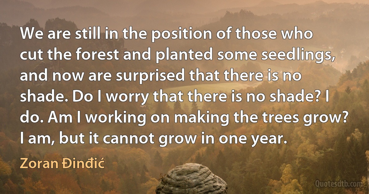 We are still in the position of those who cut the forest and planted some seedlings, and now are surprised that there is no shade. Do I worry that there is no shade? I do. Am I working on making the trees grow? I am, but it cannot grow in one year. (Zoran Đinđić)