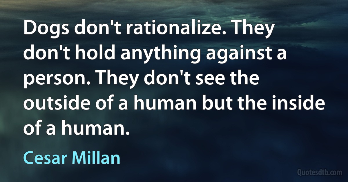 Dogs don't rationalize. They don't hold anything against a person. They don't see the outside of a human but the inside of a human. (Cesar Millan)