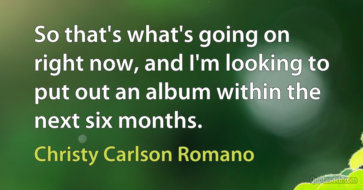 So that's what's going on right now, and I'm looking to put out an album within the next six months. (Christy Carlson Romano)