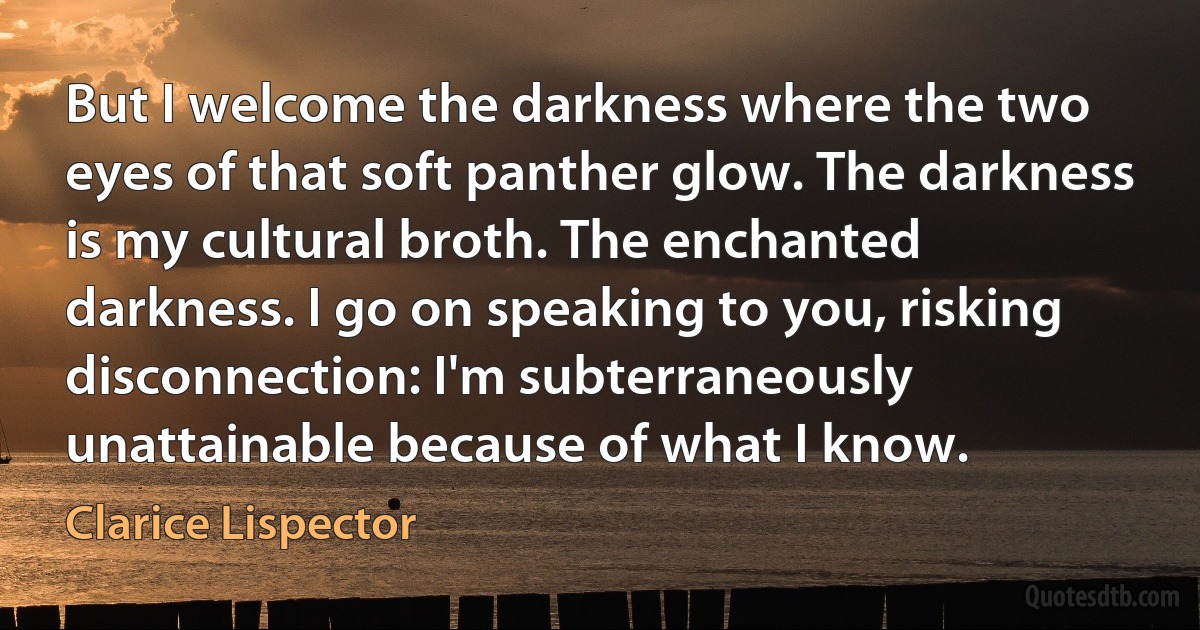 But I welcome the darkness where the two eyes of that soft panther glow. The darkness is my cultural broth. The enchanted darkness. I go on speaking to you, risking disconnection: I'm subterraneously unattainable because of what I know. (Clarice Lispector)