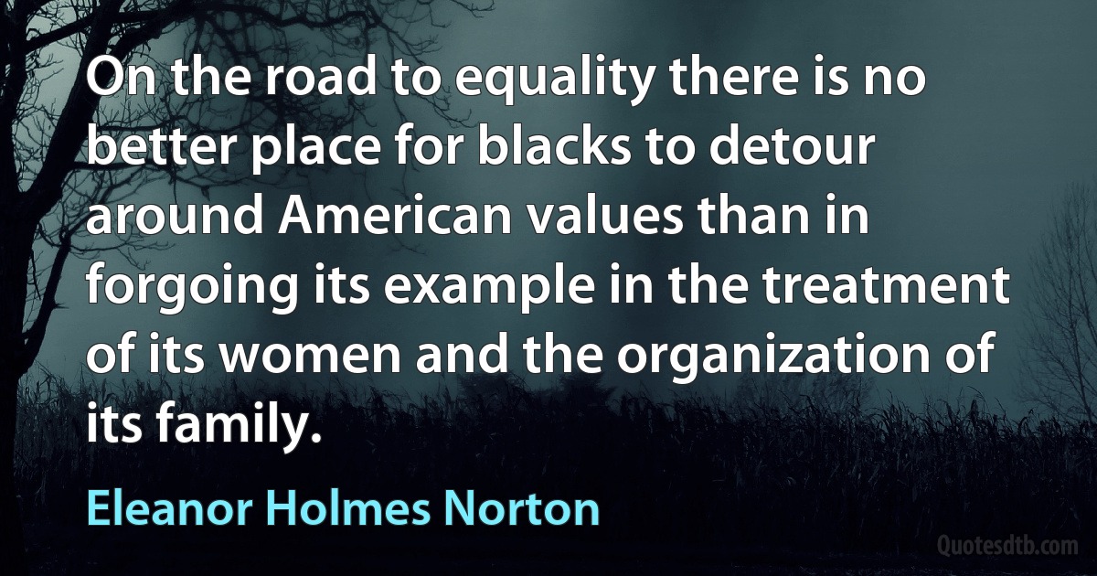 On the road to equality there is no better place for blacks to detour around American values than in forgoing its example in the treatment of its women and the organization of its family. (Eleanor Holmes Norton)