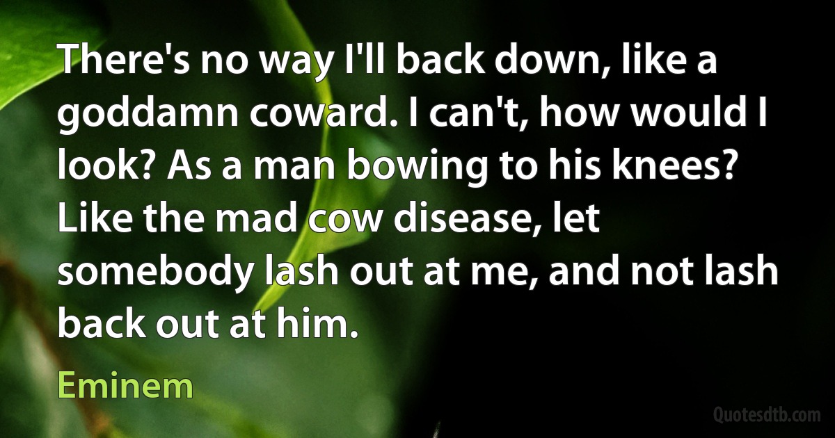 There's no way I'll back down, like a goddamn coward. I can't, how would I look? As a man bowing to his knees? Like the mad cow disease, let somebody lash out at me, and not lash back out at him. (Eminem)