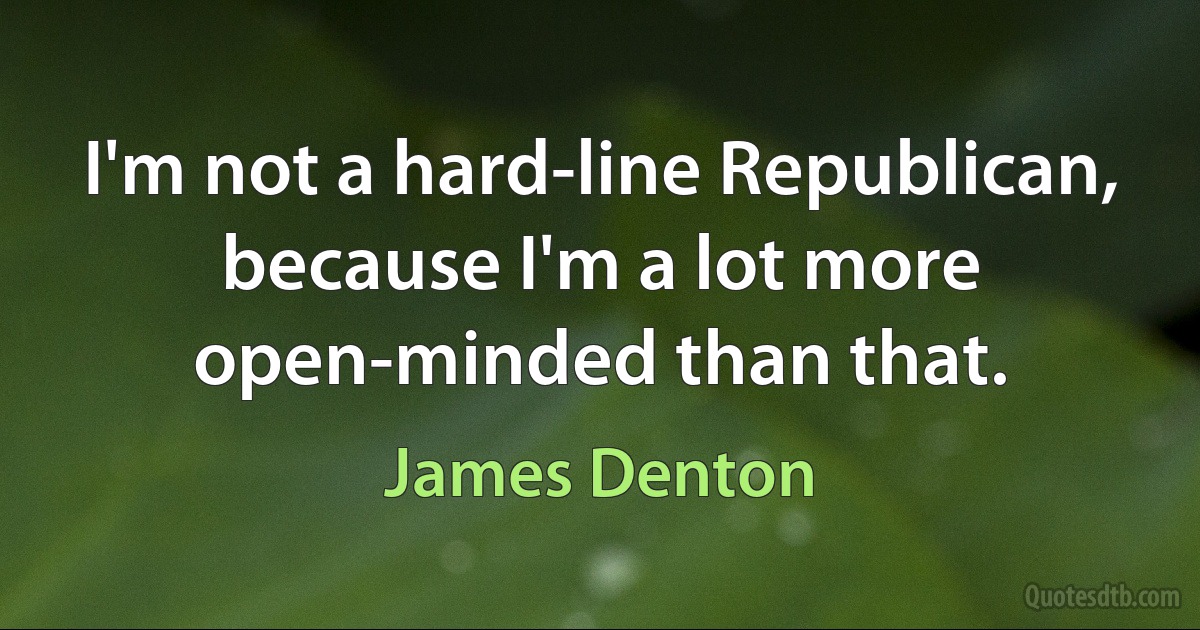 I'm not a hard-line Republican, because I'm a lot more open-minded than that. (James Denton)