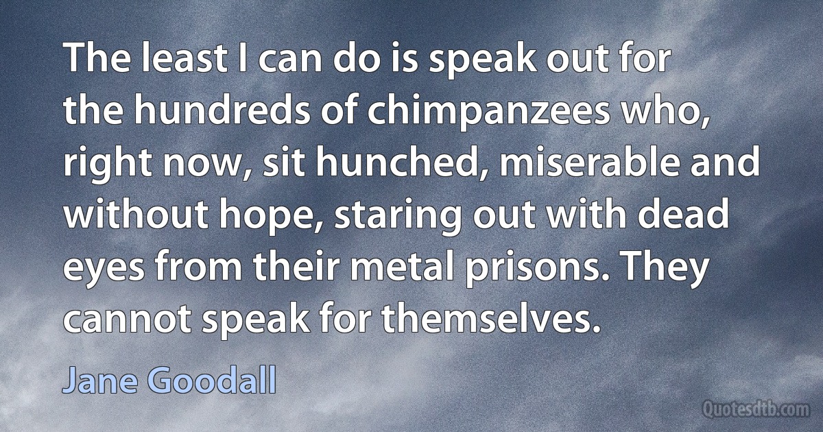 The least I can do is speak out for the hundreds of chimpanzees who, right now, sit hunched, miserable and without hope, staring out with dead eyes from their metal prisons. They cannot speak for themselves. (Jane Goodall)