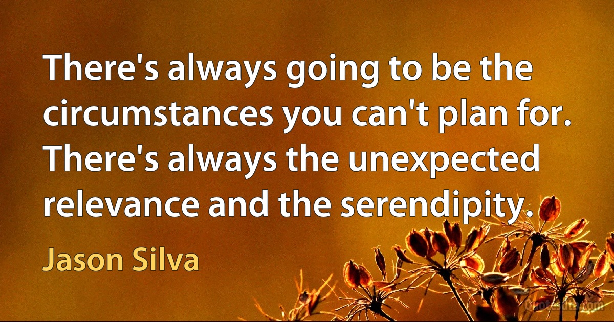 There's always going to be the circumstances you can't plan for. There's always the unexpected relevance and the serendipity. (Jason Silva)