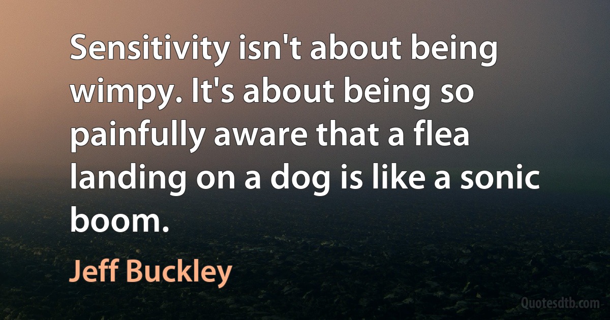 Sensitivity isn't about being wimpy. It's about being so painfully aware that a flea landing on a dog is like a sonic boom. (Jeff Buckley)