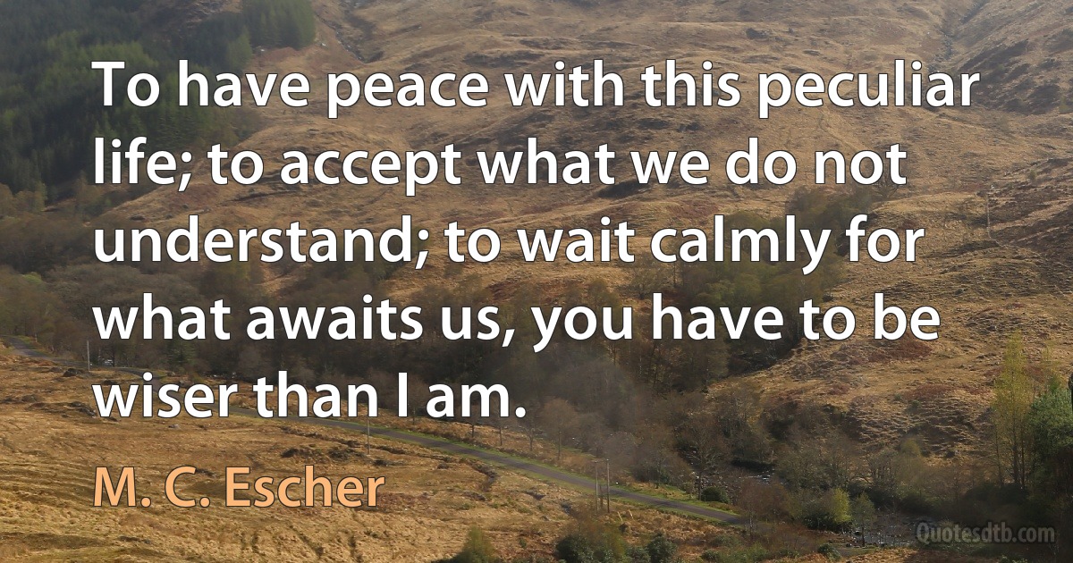 To have peace with this peculiar life; to accept what we do not understand; to wait calmly for what awaits us, you have to be wiser than I am. (M. C. Escher)