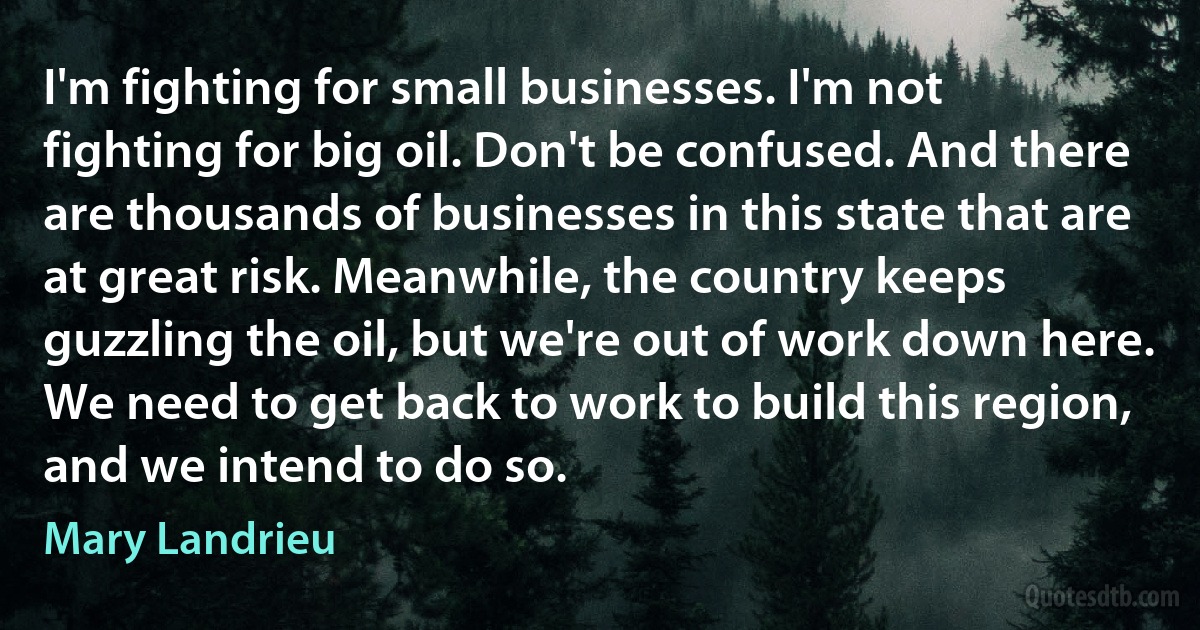 I'm fighting for small businesses. I'm not fighting for big oil. Don't be confused. And there are thousands of businesses in this state that are at great risk. Meanwhile, the country keeps guzzling the oil, but we're out of work down here. We need to get back to work to build this region, and we intend to do so. (Mary Landrieu)