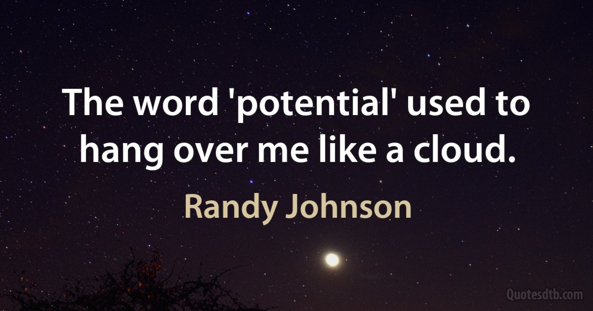 The word 'potential' used to hang over me like a cloud. (Randy Johnson)