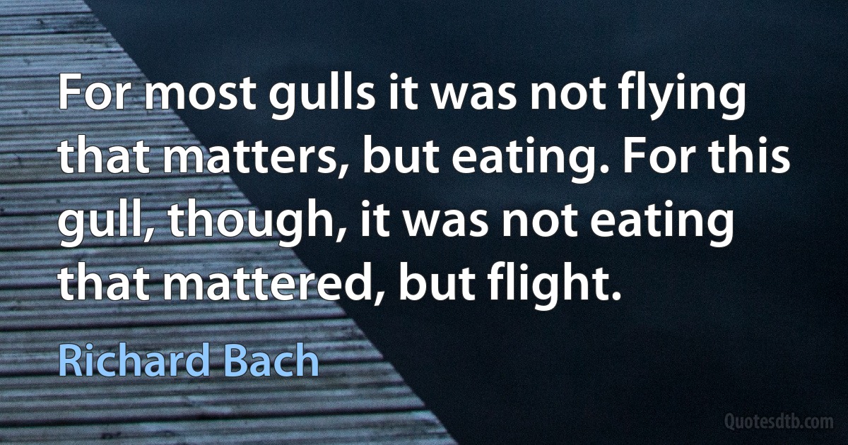 For most gulls it was not flying that matters, but eating. For this gull, though, it was not eating that mattered, but flight. (Richard Bach)