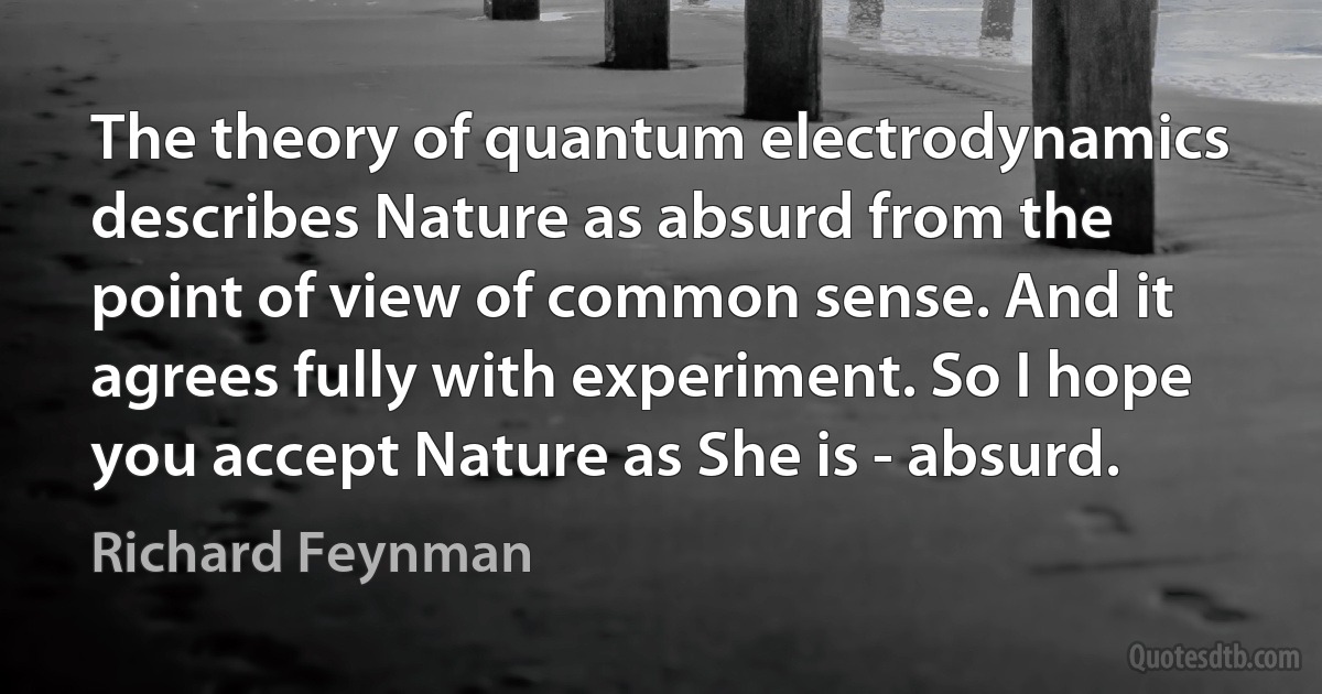 The theory of quantum electrodynamics describes Nature as absurd from the point of view of common sense. And it agrees fully with experiment. So I hope you accept Nature as She is - absurd. (Richard Feynman)