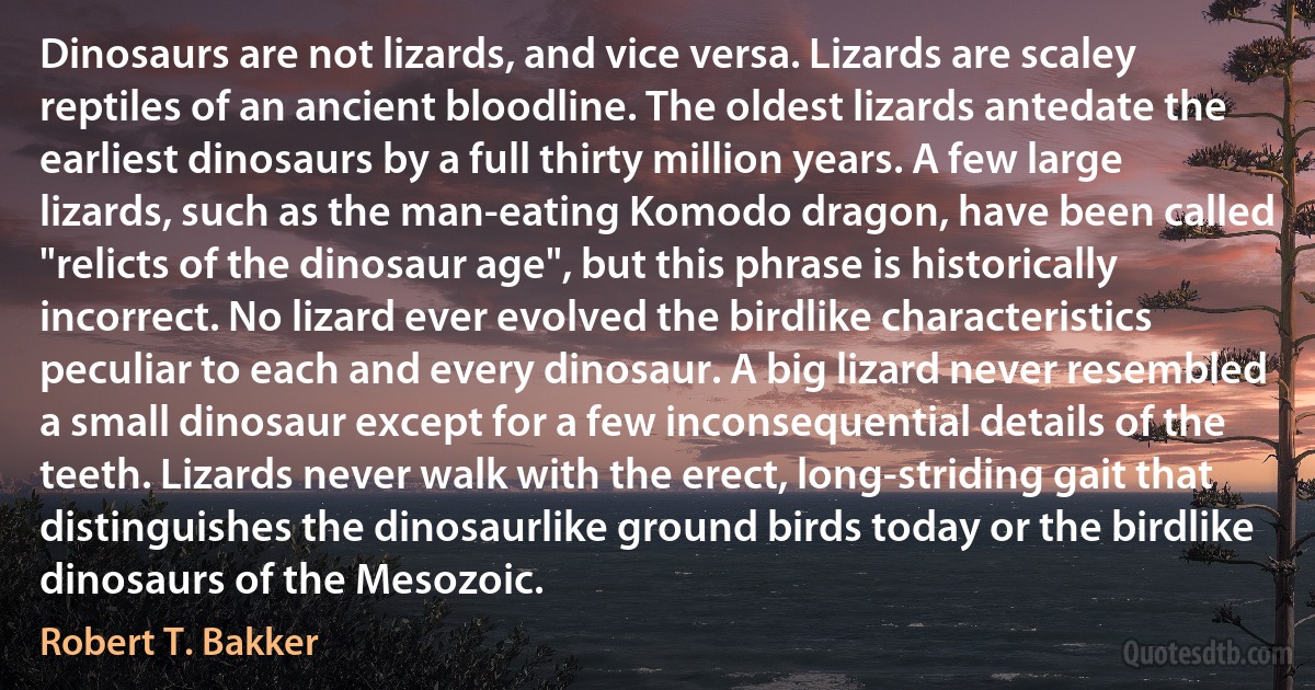 Dinosaurs are not lizards, and vice versa. Lizards are scaley reptiles of an ancient bloodline. The oldest lizards antedate the earliest dinosaurs by a full thirty million years. A few large lizards, such as the man-eating Komodo dragon, have been called "relicts of the dinosaur age", but this phrase is historically incorrect. No lizard ever evolved the birdlike characteristics peculiar to each and every dinosaur. A big lizard never resembled a small dinosaur except for a few inconsequential details of the teeth. Lizards never walk with the erect, long-striding gait that distinguishes the dinosaurlike ground birds today or the birdlike dinosaurs of the Mesozoic. (Robert T. Bakker)