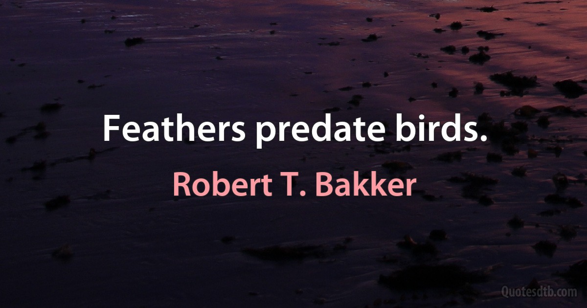 Feathers predate birds. (Robert T. Bakker)